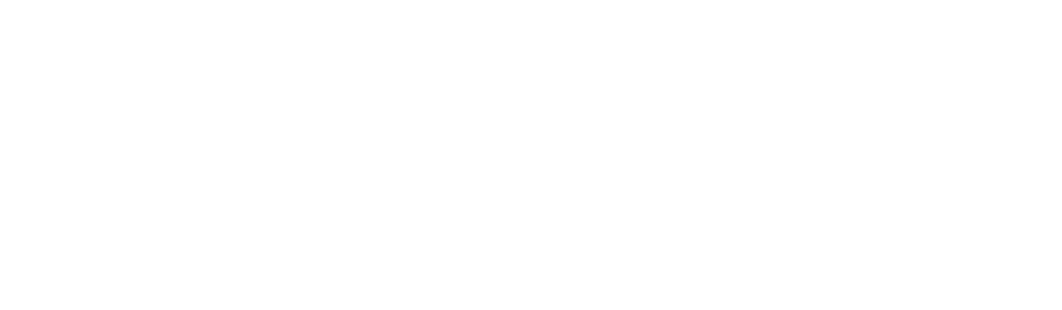 Animations Spectacles